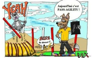 CAESC et PASS Agility